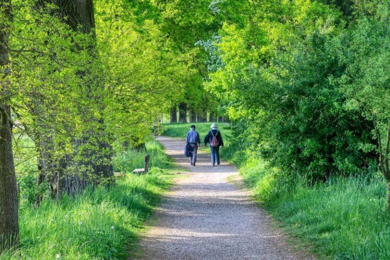 TMGS-Fachtagung verbindet Barrierefreiheit und Nachhaltigkeit im sächsischen Tourismus