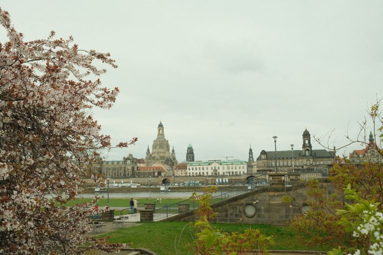Capture of Dresden's historic skyline with blooming trees in spring.