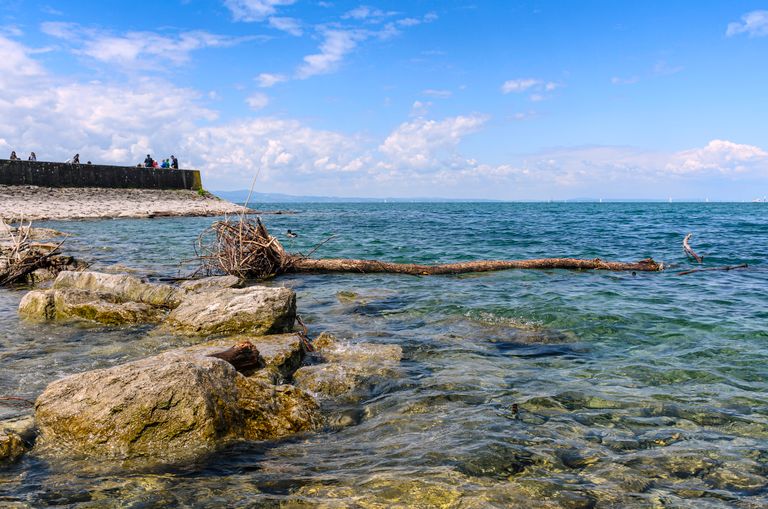Beautiful shoreline with driftwood and rocks at Lindau Bodensee, Germany under a clear blue sky.