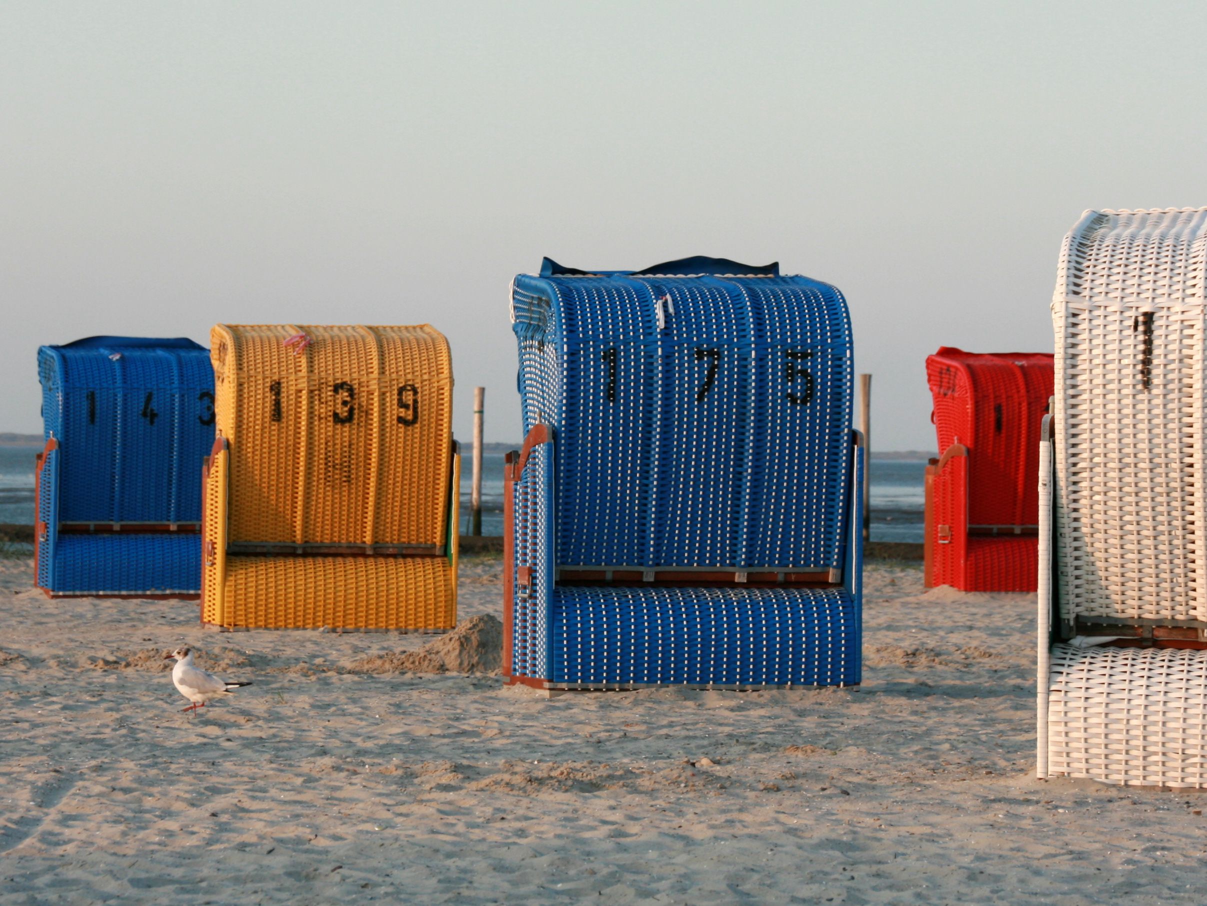 Vibrant wicker beach chairs on a sandy coastal setting, perfect for summer recreation.