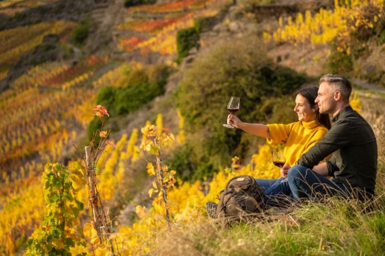Ahrtal erh&auml;lt Travelbook Award als sch&ouml;nste Weinregion Europas