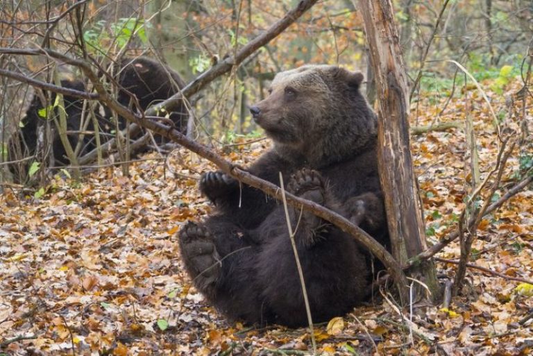 Naturerlebniszentren in Mecklenburg-Vorpommern erscheinen auf neuer Karte