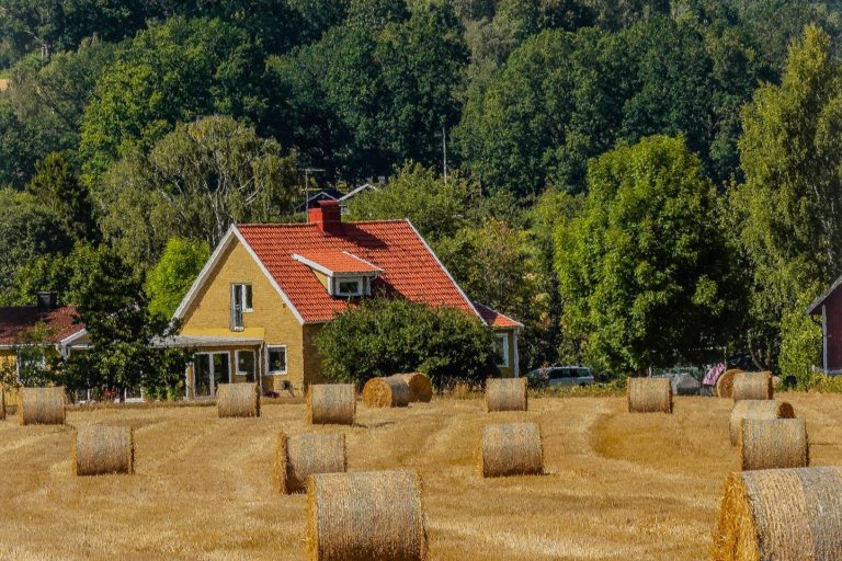 NaturMomente verzeichnet 521 Bewerbungen aus l&auml;ndlichen Regionen
